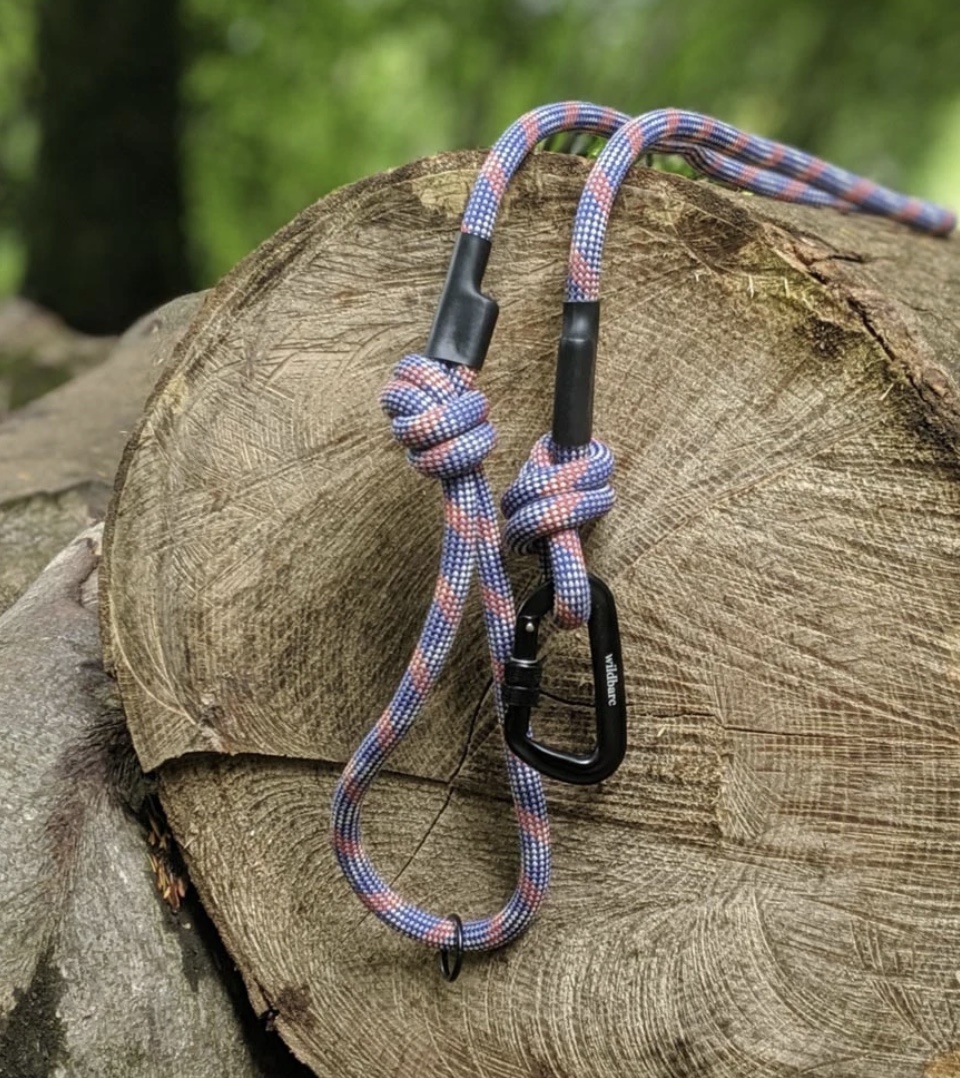 Dog Leads From Recycled Materials
