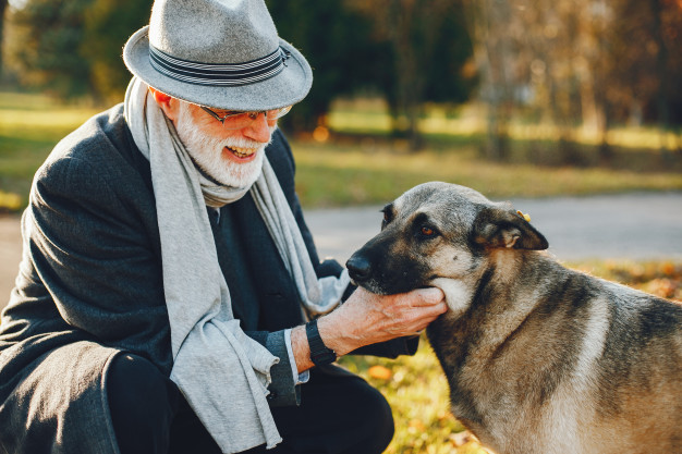 Caring for an Older Dog