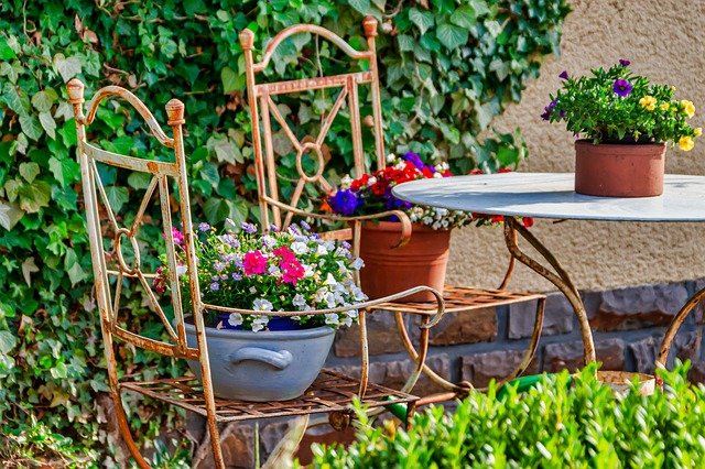 Top Tips for Small Garden Design to Transform Your Space