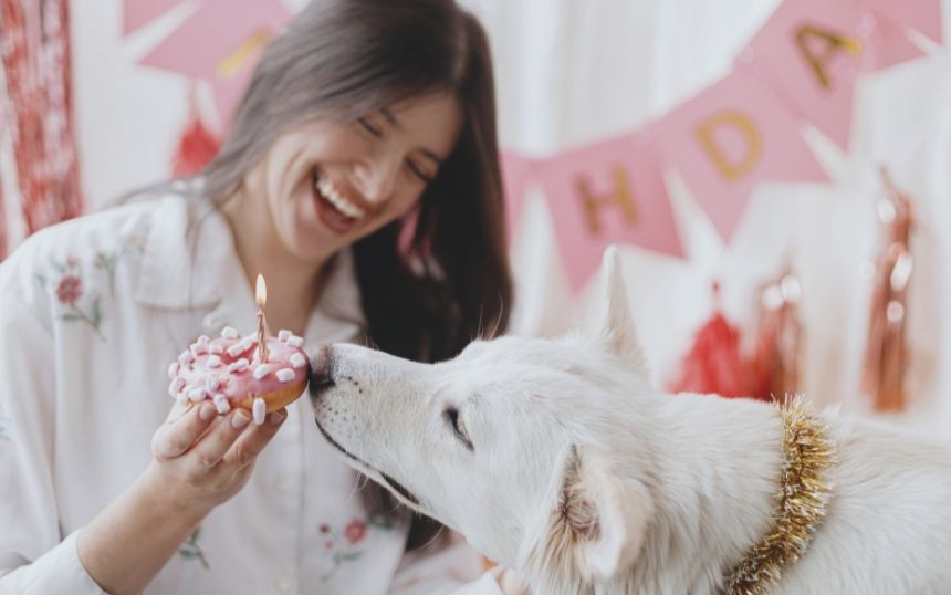 Puppy Parties: Tips for Throwing a Perfect Dog Birthday