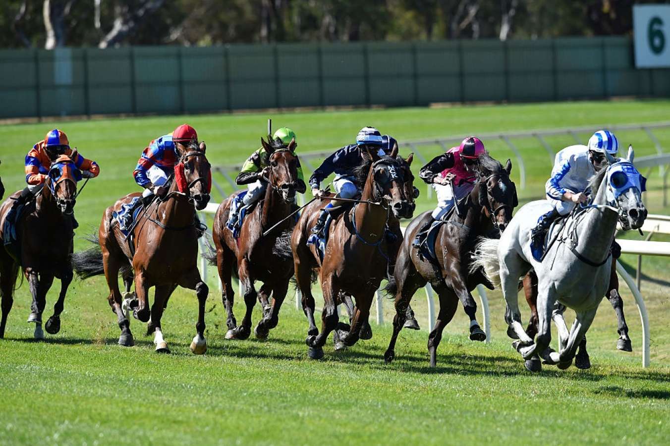 All You Need To Know About The Bendigo Cup