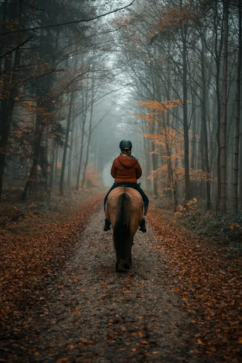 Things to Consider Before Going On A Horse Ride: Beginner-friendly