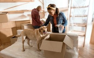 How To Make Your Pet More Comfortable During a Big Move
