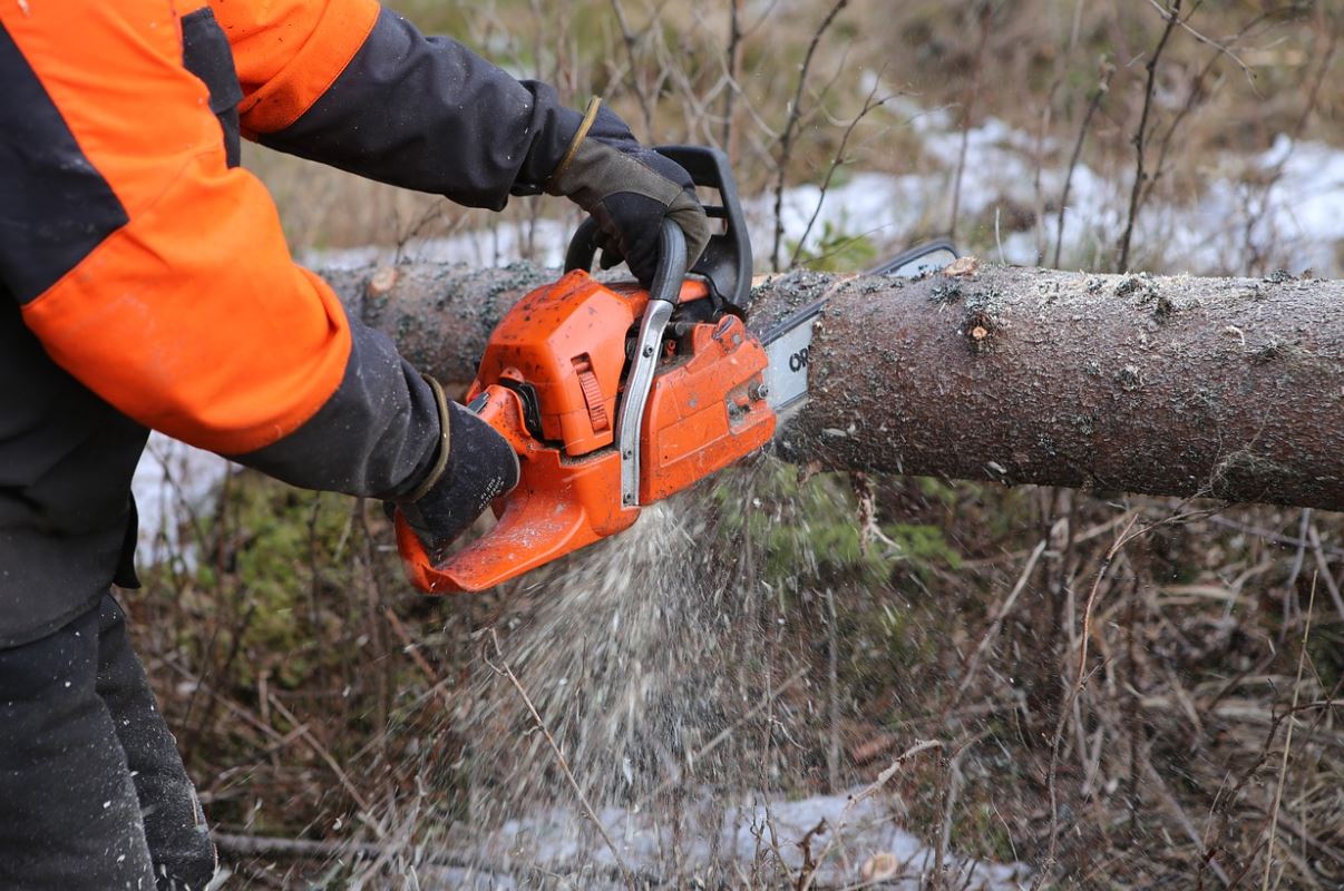 The Different Types of Chainsaws and What They’re Used For