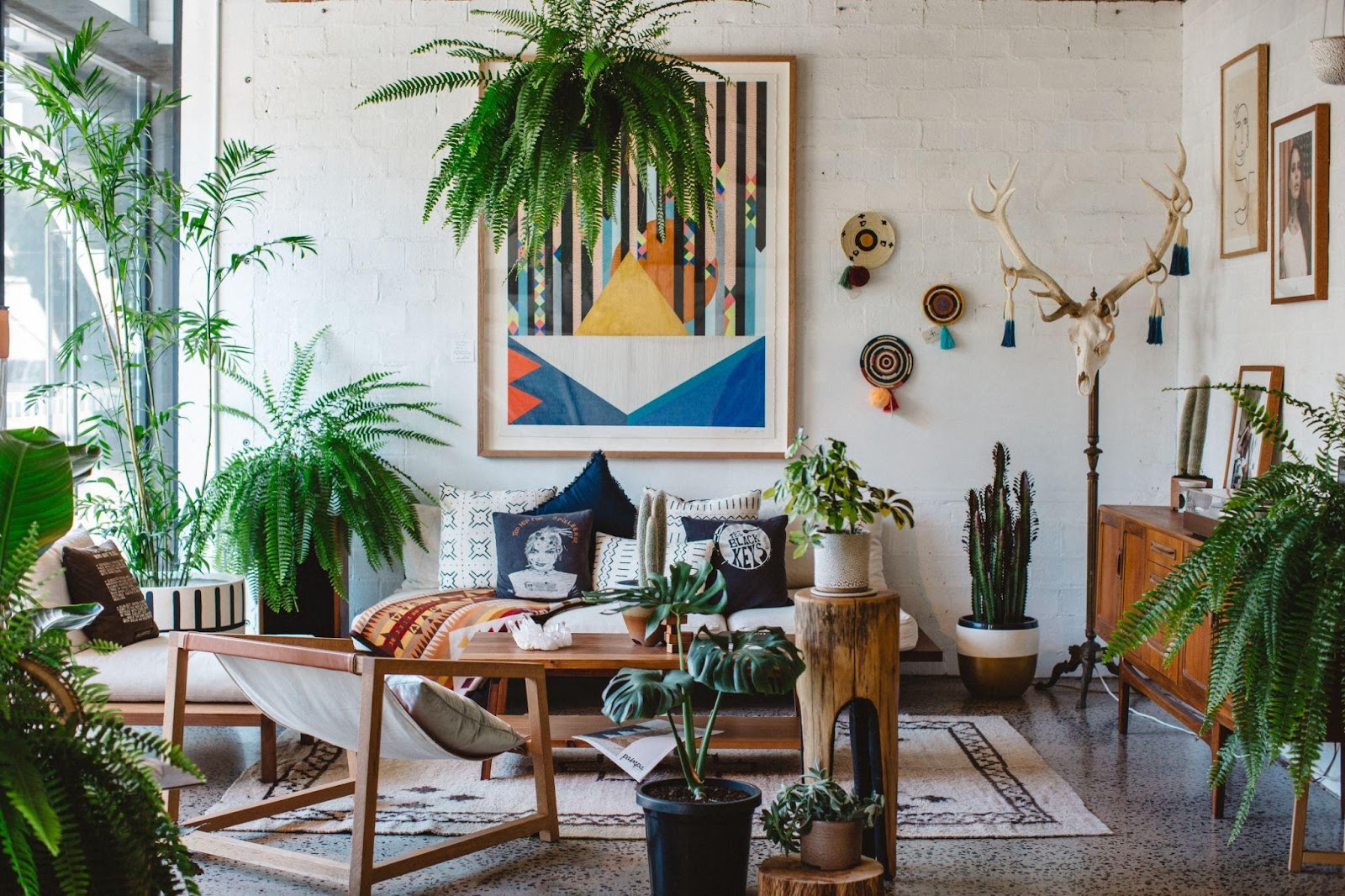 9 Unexpected Ways to Decorate Your Home with Plants