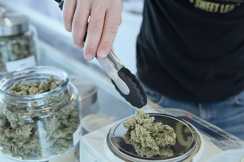 A Dispensary Newbie? Here’s What You Can Expect on Your First Trip