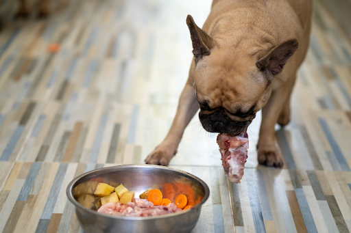 Top 5 Benefits of Feeding Your Dog Fresh Food