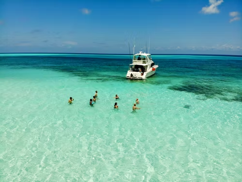 10 Things To Do in Cozumel