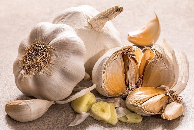 Does Garlic Keep Wildlife Away?
