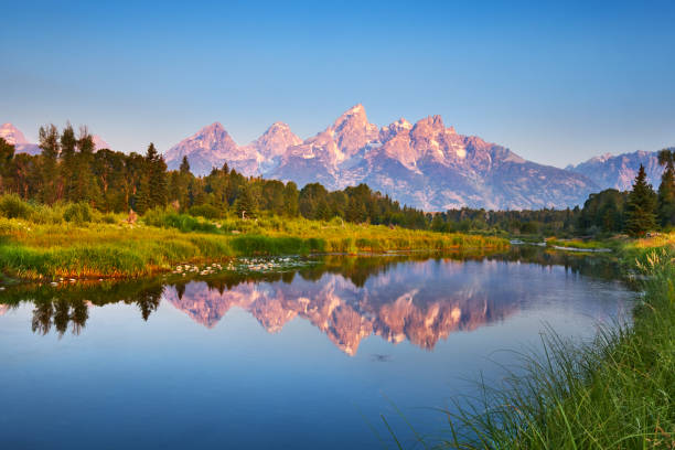 Why Would You Want To Live In Jackson Hole