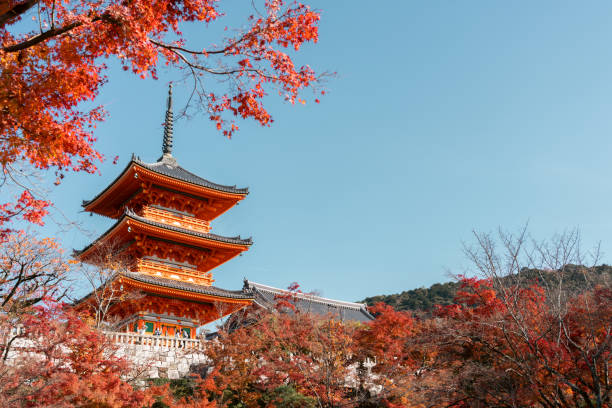Traveling Back in Time: Discovering the Charm of Kyoto