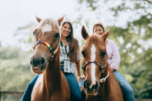 Why You Should Consider a Horse-Riding Holiday