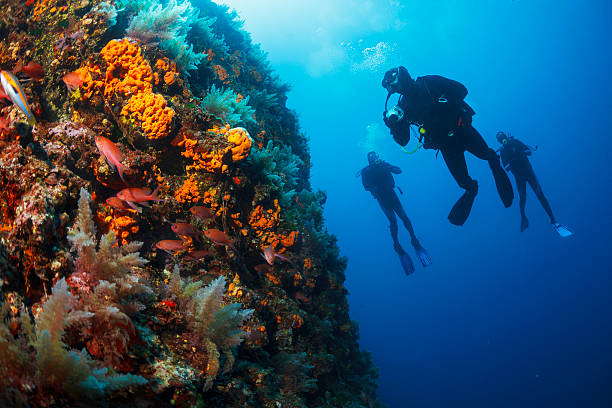 3 Breathtaking Dive Sites In Europe