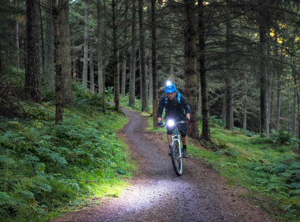 How to Find the Perfect Bike Lights: 5 Expert Tips