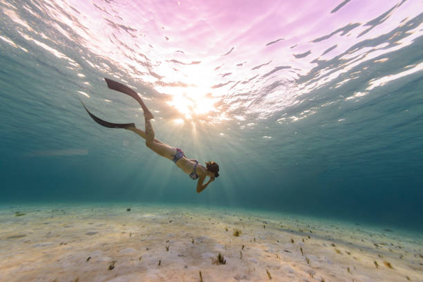 Cozumel Uncovered: 10 Insider Tips for an Amazing Adventure