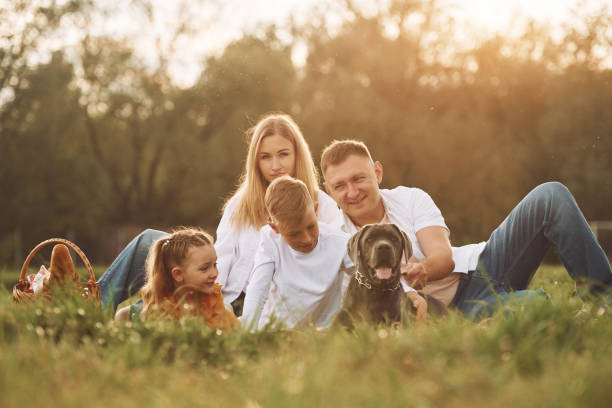 The Perfect Dogs for a Loving Family